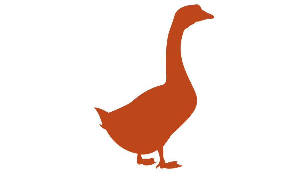 Świeży drób – gęsina z hurtowni mięsa EL-GREMO Małopolska