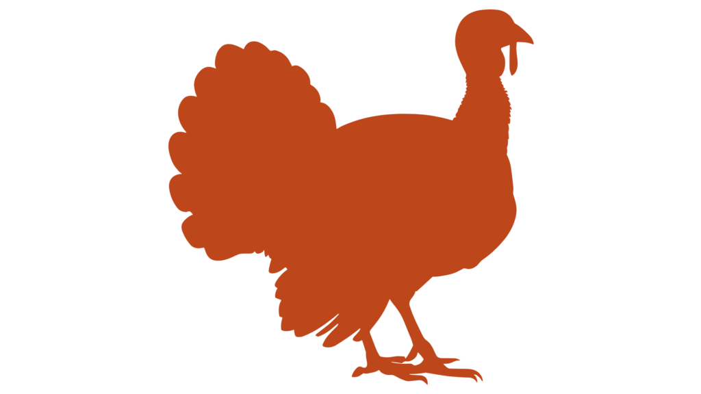 Mięso drobiowe – indyk dla restauracji i sklepów w Krakowie