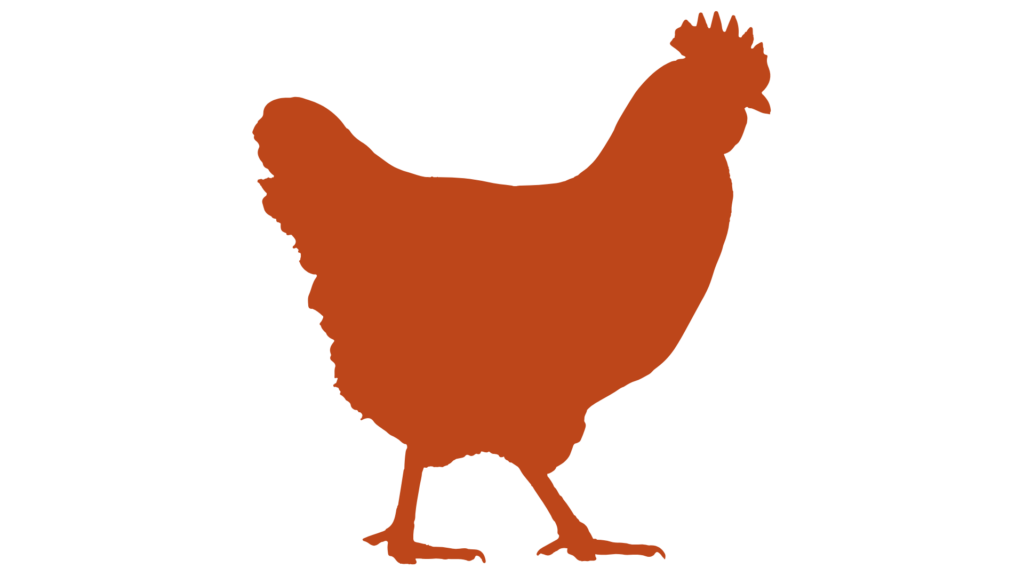 Świeży drób – kurczak w hurcie dla gastronomii EL-GREMO Kraków Małopolska