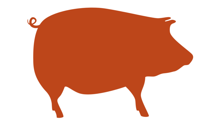 Mięso wieprzowe – wieprzowina dla gastronomii w Krakowie