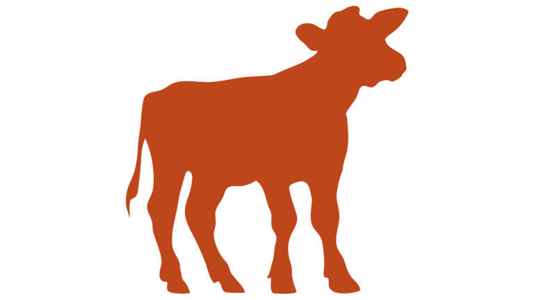 Cielęcina w hurcie EL-GREMO